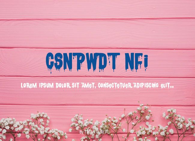 CSNPWDT NFI example