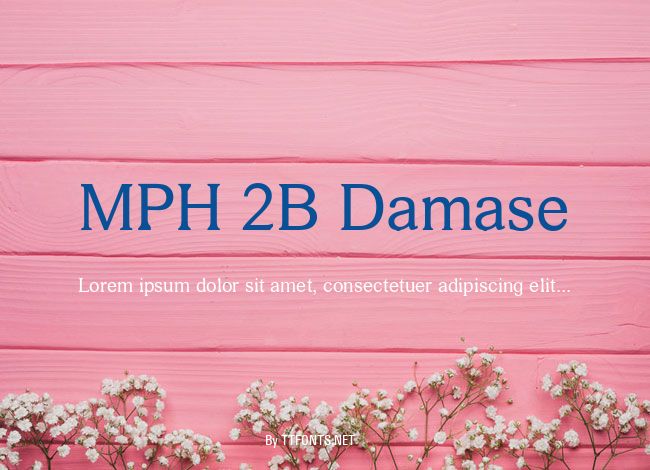 MPH 2B Damase example