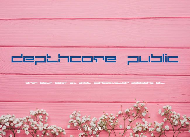 depthcore public example
