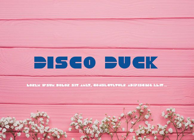 Disco Duck example