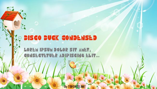 Disco Duck Condensed example