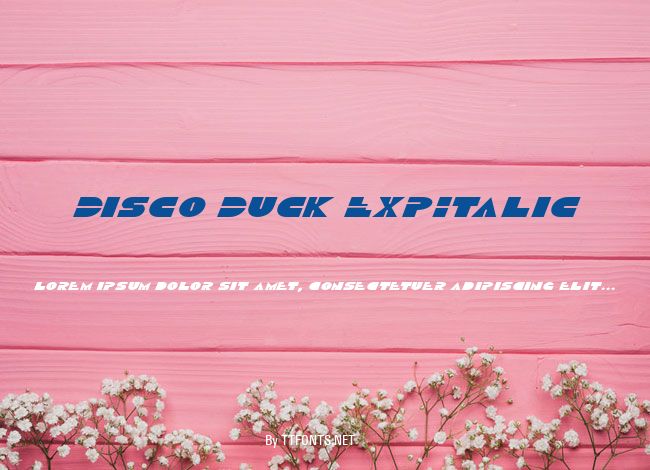 Disco Duck ExpItalic example