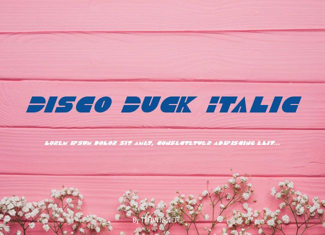 Disco Duck Italic example