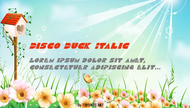 Disco Duck Italic example
