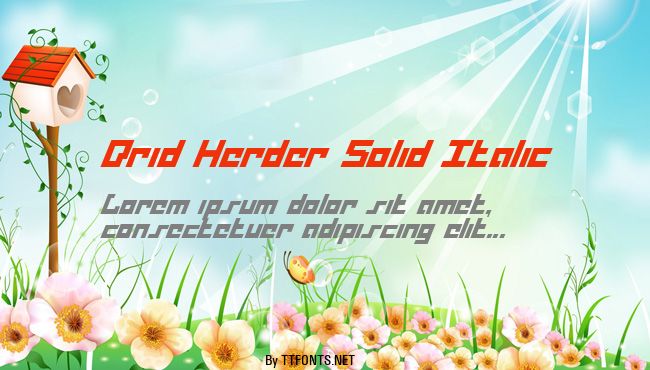 Drid Herder Solid Italic example