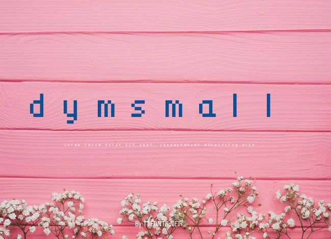 dymsmall example