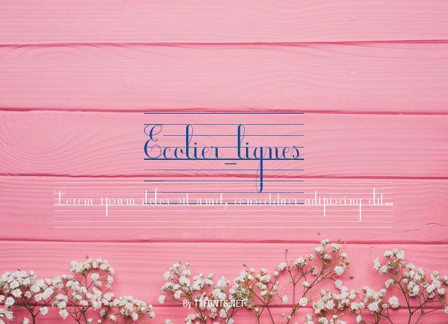 Ecolier_lignes example