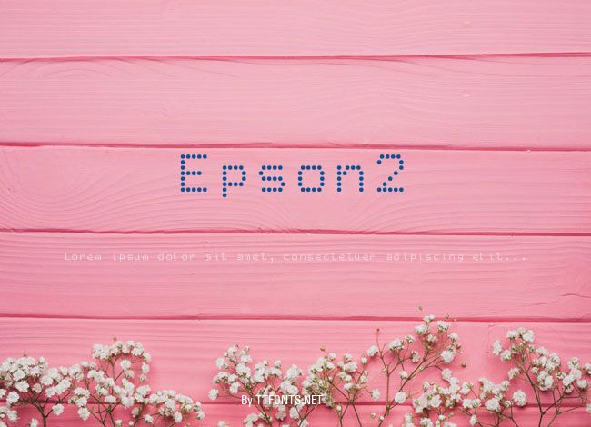 Epson2 example