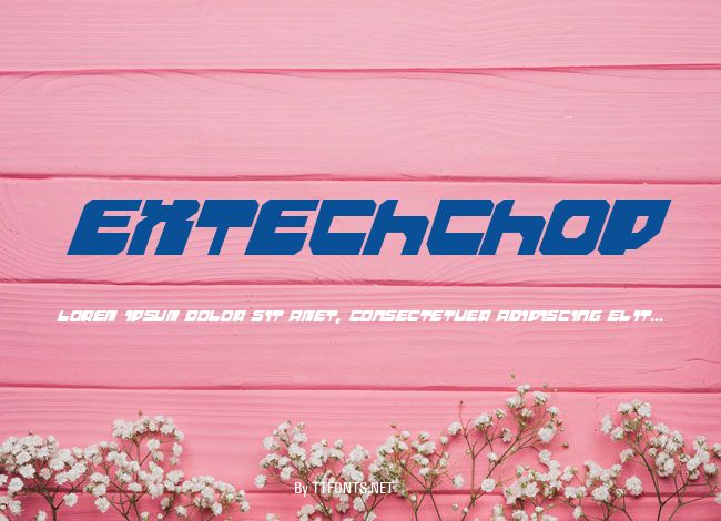 Extechchop example