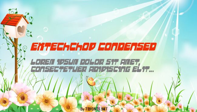 Extechchop Condensed example