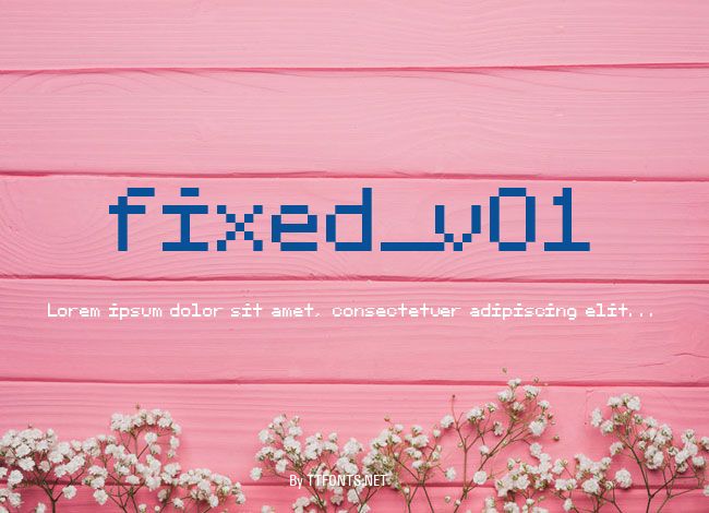 fixed_v01 example