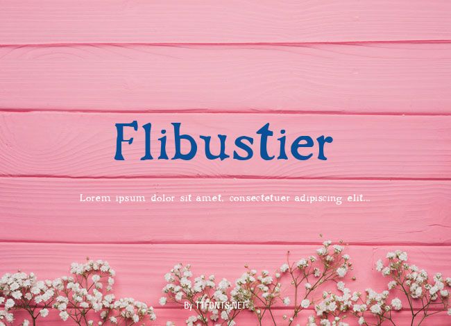 Flibustier example