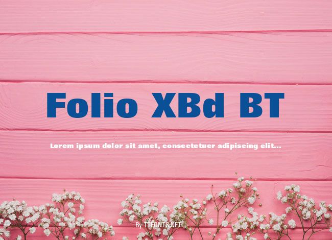 Folio XBd BT example