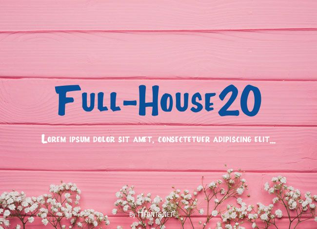 Full-House20 example