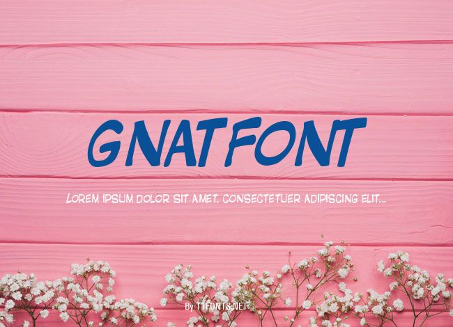 GNATFONT example