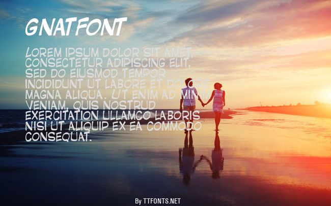 GNATFONT example
