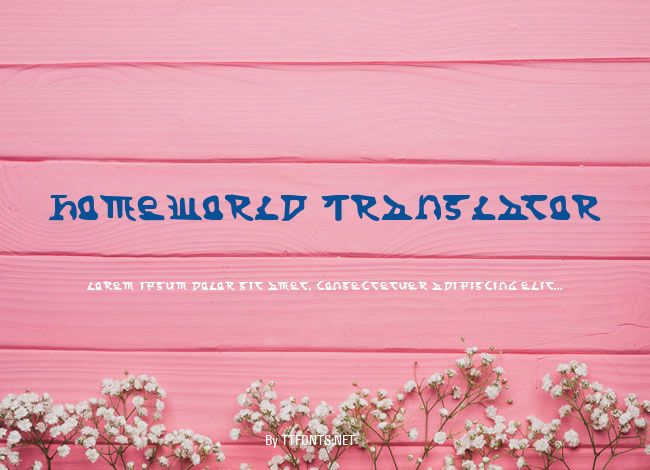 Homeworld Translator example