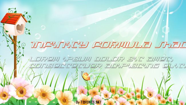 Infinity Formula Shadow Ital example