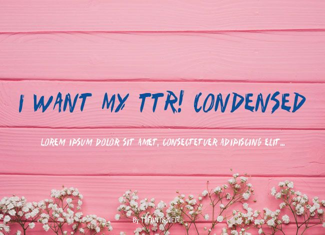 I Want My TTR! Condensed example