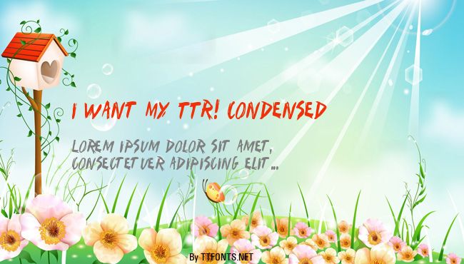 I Want My TTR! Condensed example