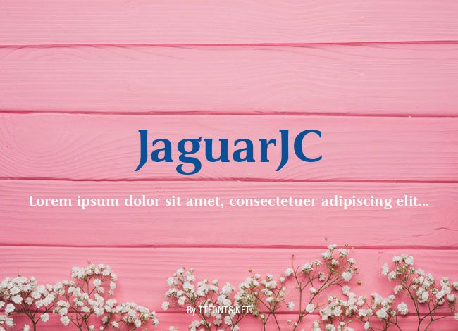 JaguarJC example