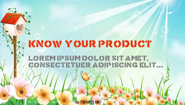 Know Your Product example
