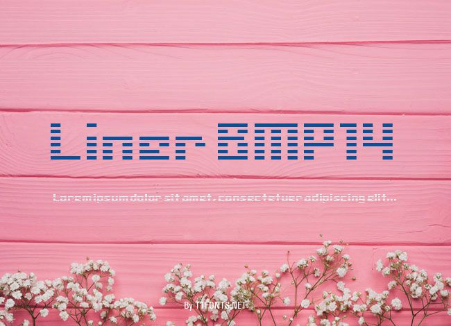 Liner BMP14 example