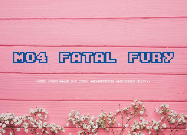 M04_FATAL FURY example