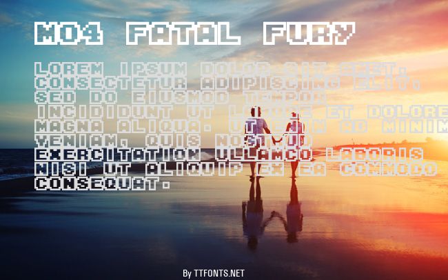 M04_FATAL FURY example