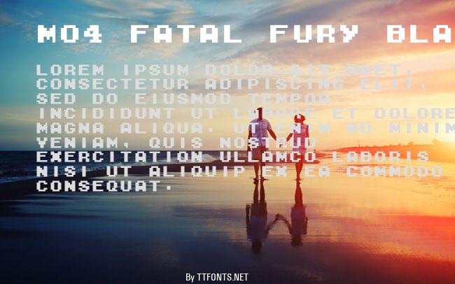 M04_FATAL FURY BLACK example