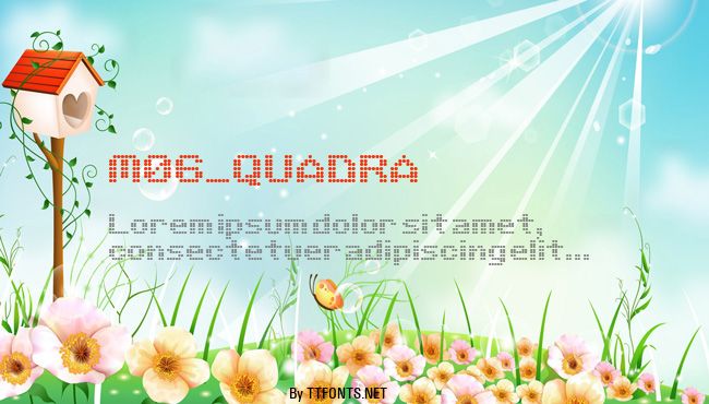 M06_QUADRA example