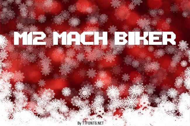 M12_MACH BIKER example