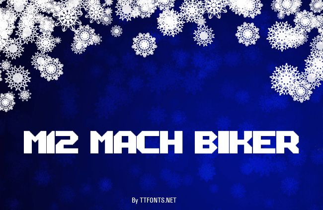 M12_MACH BIKER example