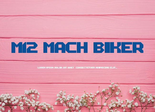 M12_MACH BIKER example