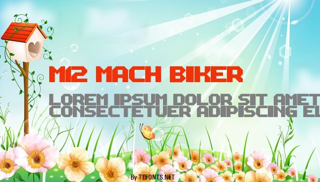 M12_MACH BIKER example