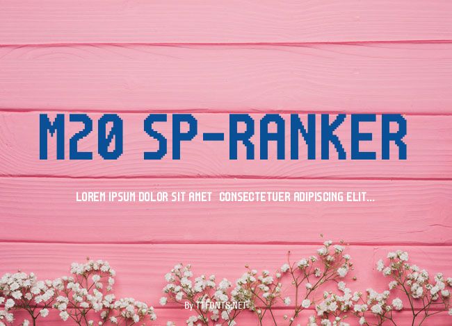M20_SP-RANKER example