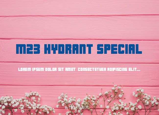 M23_HYDRANT SPECIAL example