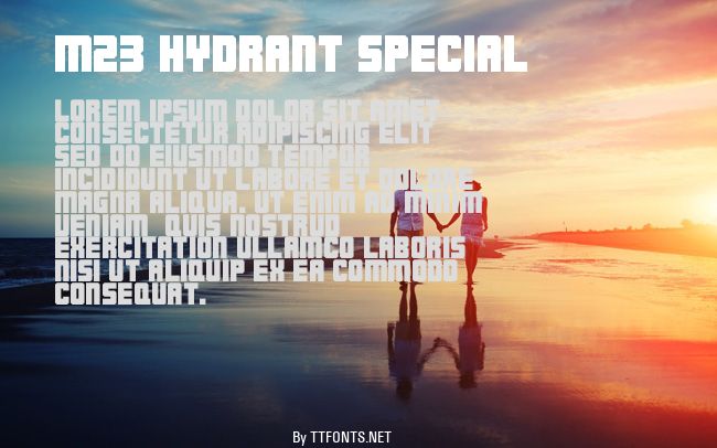 M23_HYDRANT SPECIAL example