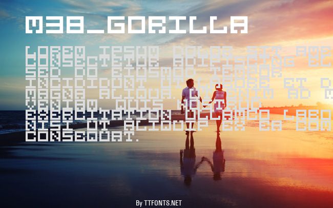 M38_GORILLA example