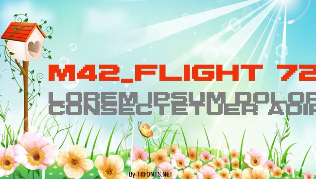 M42_FLIGHT 721 example