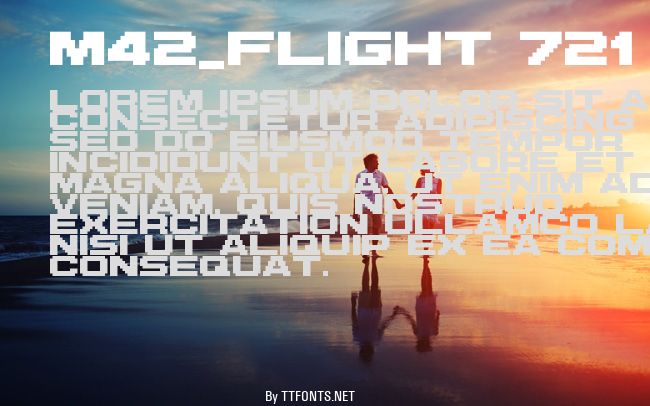 M42_FLIGHT 721 example