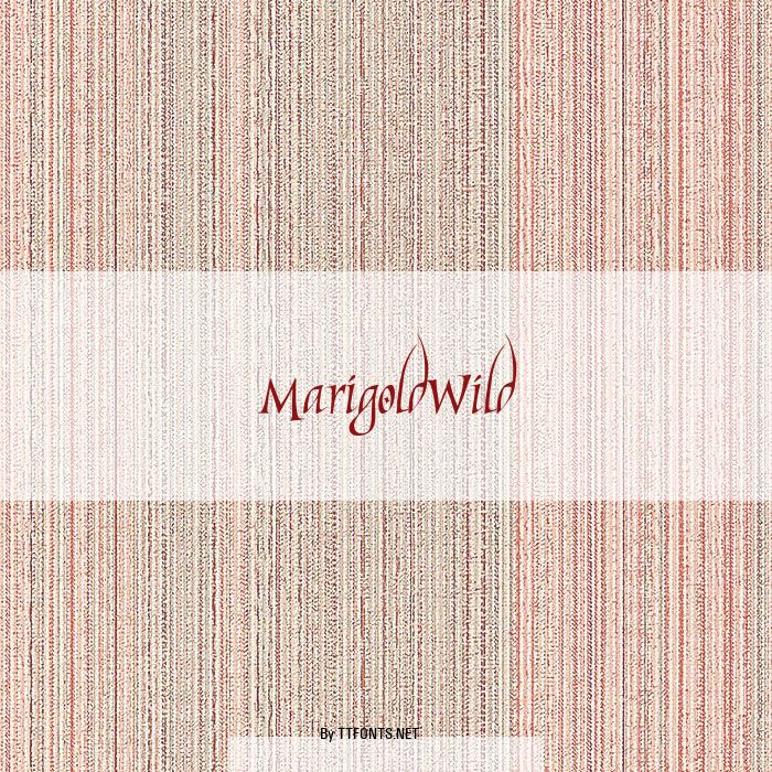 MarigoldWild example