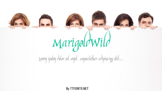 MarigoldWild example