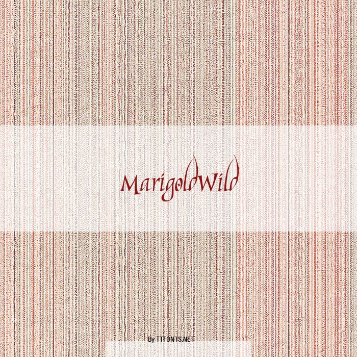 MarigoldWild example