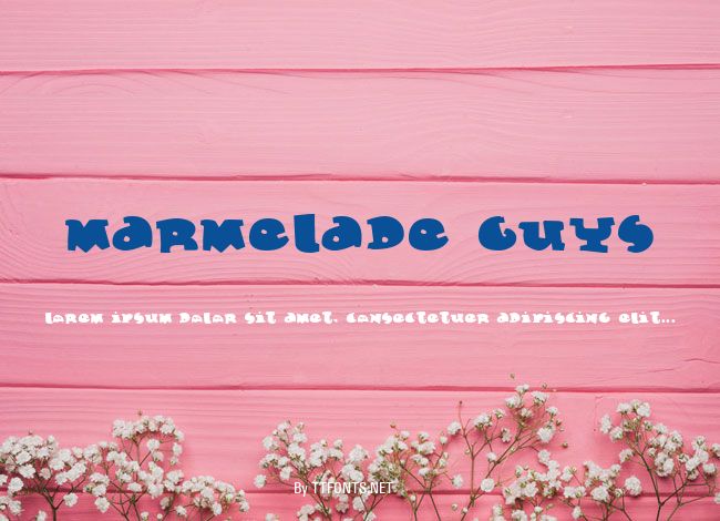 Marmelade Guys example