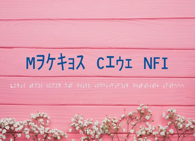 Matrix Code NFI example