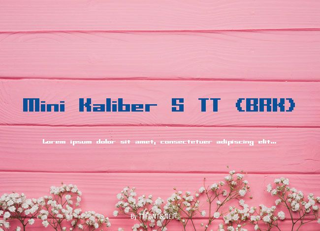 Mini Kaliber S TT (BRK) example