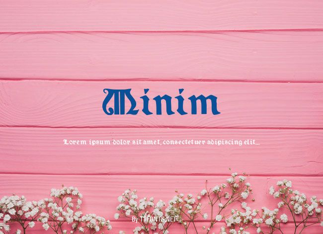Minim example