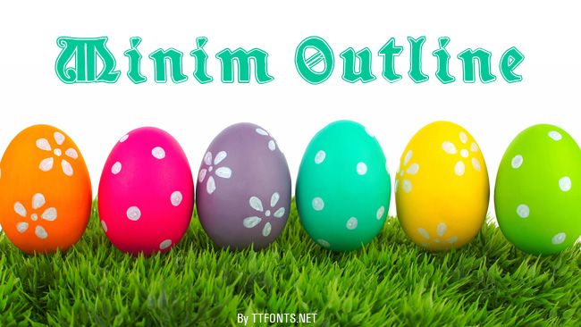 Minim Outline example