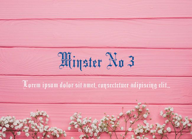 Minster No 3 example